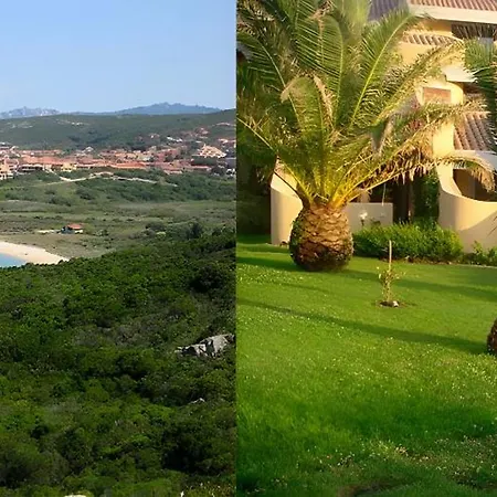 Alba * Palau
