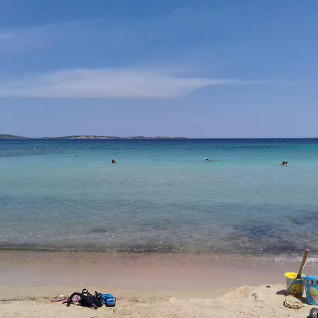 Alba * Palau