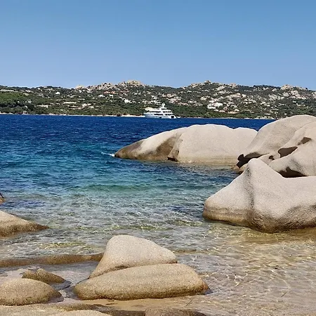 Alba Palau